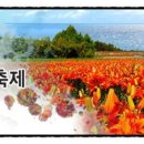 백합이브자리 이미지