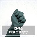 태화세탁 | 다이소 태화 고무장갑 모던 컬러 리뷰, 솔직 후기
