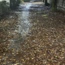 더스포츠샵 | 회전절골술&amp;비구순파열 관절경 재활 4 -혼자재활해보기