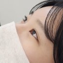[공지] 평택 고덕 속눈썹펌 어반그로브몰 | 솔솔스튜디오 블랙틴팅 펌 후기