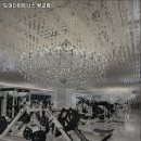 도미디피트니스 이미지