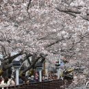 진해구 ⓒ-24 이미지