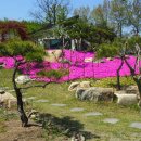 자연나라 이미지