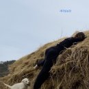 지푸라기농장 이미지