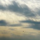 설천면 월곡 이미지