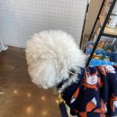 광주다온동물병원 이미지