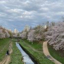 세림리빙텔 이미지