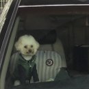 웅쓰포차 이미지