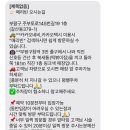메리빈 이미지