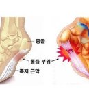 애플GYM.PT 이미지