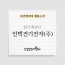 인텍전기전자(주)