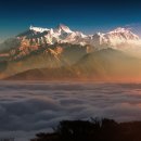 광교미소모아내과의원 이미지