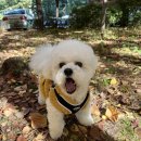 우다다 유치원 이미지