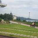 원 행정사사무소 이미지