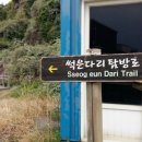 대정월마트