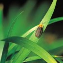 무주슈퍼 이미지