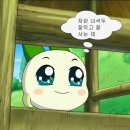 신민지식당 이미지