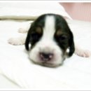 대영산업 이미지