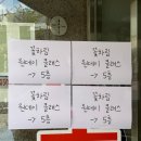 도안동 꽃집 꽃차림｜대전 플라워 클래스 후기