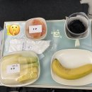 묵안천 | 대한항공 KE955 인천-이스탄불 기내식 후기. 특별식(과일식), 일반식, 주류음료