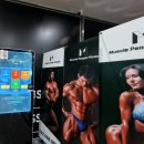 머슬피플 | 🏋️‍♂️ 청라 헬스장 추천 짐80 오피셜 ‘머슬피플’ 솔직 후기 (짐로드 프로젝트)