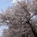 내산초등학교 이미지