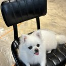 복실방앗간 이미지