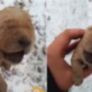 기다리다 이미지