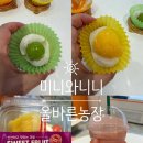 연상농장 | 이천과일 샐러드 아기간식 생과일모찌 올바른농장