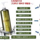 샤플리 네이버블로그