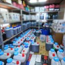 자연애오리 이미지