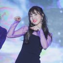 본드일드