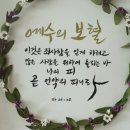 샬롬캘리