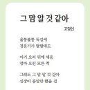 [소년한국일보]그 맘 알 것 같아/고정선 200209 이미지