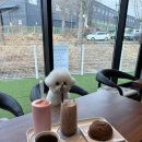 지에스25 안중용성점 이미지