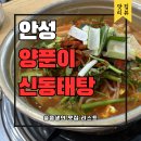양푼이동태탕 | 안성 원곡 맛집 양푼이 신동태탕 후기