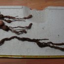 월영동255 이미지