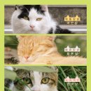 알콩달콩 이미지