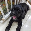 전주송천초등학교 이미지