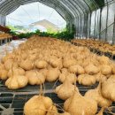 학곡농장 이미지