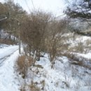 강림면380 이미지