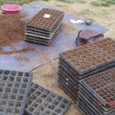 화창농원 이미지