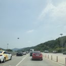 반려견동반 솔캠 개별울타리와 타프있는 홍천 캠핑중dog 캠핑장 후기 /콜맨스웨거3p