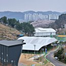 모덕경기장(테니스장) 네이버블로그