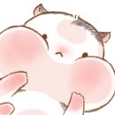 라인 마켓