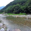 오색허브농원 이미지