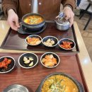 톰앤키티 | 2026년 3월 벚꽃 사냥 교토 여행 1일차 후기