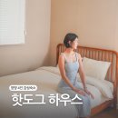 제이디펜션 | 양양 양리단길 숙소 4인 애견동반 펜션 핫도그하우스 내돈내산 후기