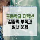 [초등학교 저학년 집중력 부족과 정서문제] 집중력부족,정서문제,학습장애,ADHD,또래관계문제,사회성문제, 한국아동청소년상담센터 이미지