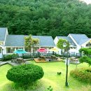 강애산애 이미지